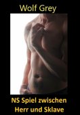 eBook: NS Spiel zwischen Herr und Sklave