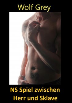 eBook: NS Spiel zwischen Herr und Sklave