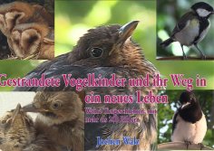 ebook: Gestrandete Vogelkinder und ihr Weg in ein neues Leben