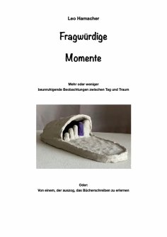 ebook: Fragwürdige Momente