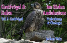 ebook: Greifvögel und Eulen im Süden Andalusiens Teil 2 Greifvögel