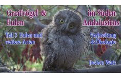ebook: Greifvögel und Eulen im Süden Andalusiens Teil 3 Eulen und weitere Arten