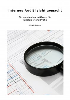 ebook: Internes Audit leicht gemacht