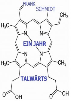 eBook: ein Jahr talwärts