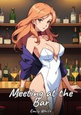 eBook: Meeting at the Bar