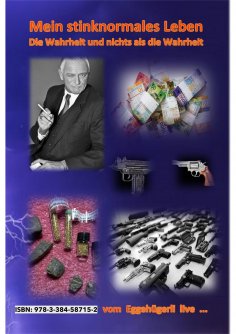 ebook: Mein stinknormales Leben