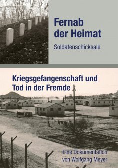 ebook: Fernab der Heimat Soldatenschicksale