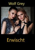 ebook: Erwischt