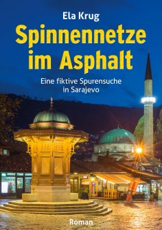 ebook: Spinnennetze im Asphalt