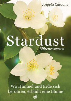 ebook: Stardust