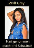 ebook: Hart genommen durch drei Schwänze