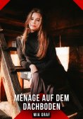 eBook: Ménage auf dem Dachboden