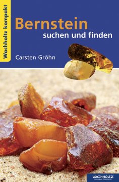 eBook: Bernstein suchen und finden KOMPAKT