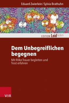 eBook: Dem Unbegreiflichen begegnen