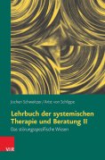 eBook: Lehrbuch der systemischen Therapie und Beratung II