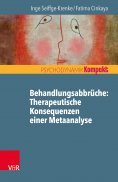 eBook: Behandlungsabbrüche: Therapeutische Konsequenzen einer Metaanalyse