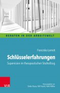 eBook: Schlüsselerfahrungen: Supervision im therapeutischen Strafvollzug