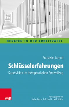 eBook: Schlüsselerfahrungen: Supervision im therapeutischen Strafvollzug