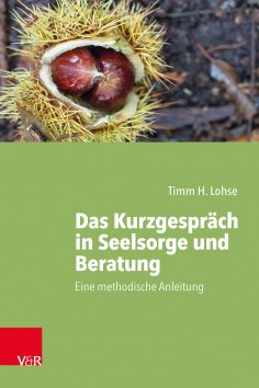 ebook: Das Kurzgespräch in Seelsorge und Beratung