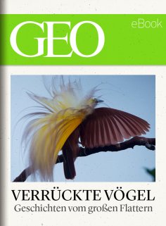 ebook: Verrückte Vögel: Geschichten vom großen Flattern (GEO eBook)