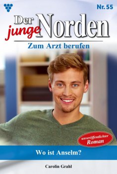 ebook: Wo ist Anselm?