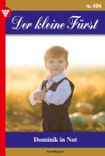 eBook: Dominik in Not