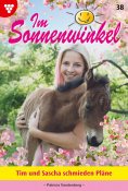 ebook: Tim und Sascha schmieden Pläne