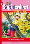 ebook: Die Bewährungsprobe