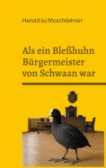 ebook: Als ein Bleßhuhn Bürgermeister von Schwaan war