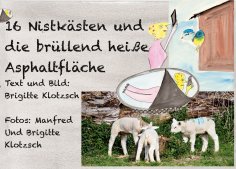 eBook: Sechszehn Nistkästen und die brüllend heiße Asphaltfläche