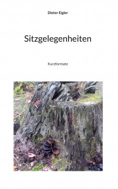 ebook: Sitzgelegenheit