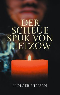 eBook: Der scheue Spuk von Lietzow