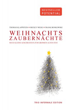 ebook: Weihnachtszaubernächte