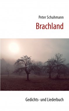 eBook: Brachland