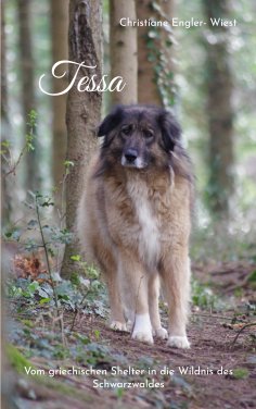 eBook: Tessa