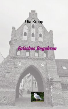 eBook: Falsches Begehren