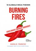 eBook: Burning Fires