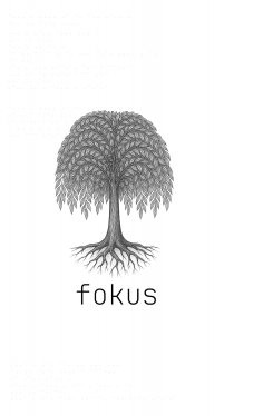 ebook: Fokus