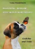 ebook: Begegnung - wenn die Seele sich zu Wort meldet