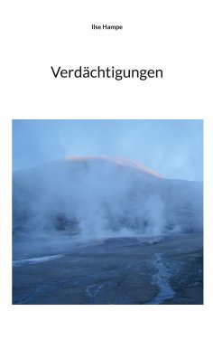 eBook: Verdächtigungen