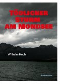 ebook: Tödlicher Sturm am Mondsee