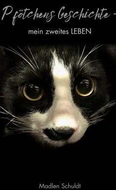 eBook: Pfötchens Geschichte