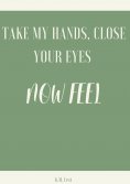eBook: Take My Hands, Close Your Eyes - Now Feel