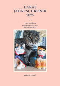 ebook: Jahreschronik