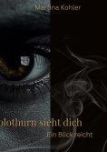 eBook: Solothurn sieht dich