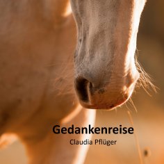 ebook: Gedankenreise