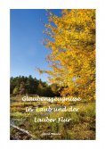 eBook: Glaubenszeugnisse in Laub und der Lauber Flur