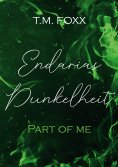 eBook: Endarias Dunkelheit