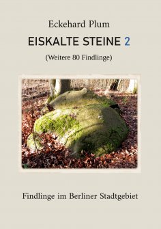 eBook: Eiskalte Steine 2