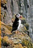 eBook: Die Abenteuer des kleinen PUFFIN